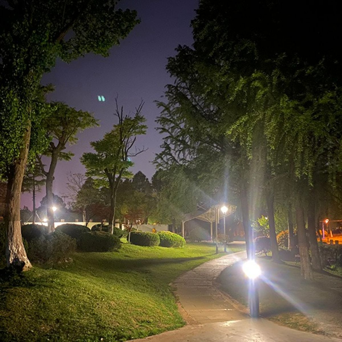 Bollard solar light 1